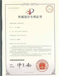 DIV01 Certificate