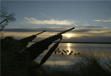 做好这几点，你的打猎手电筒更耐用