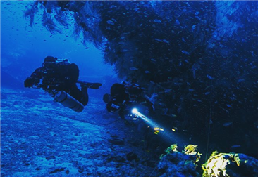 魅力独特的夜潜活动