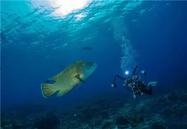 夜潜活动必备的装备和技能